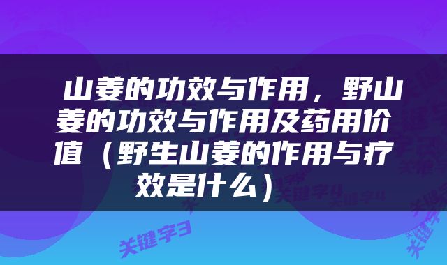  山姜的功效与作用，野山姜的功效与作用及药用价值（野生山姜的作用与疗效是什么） 