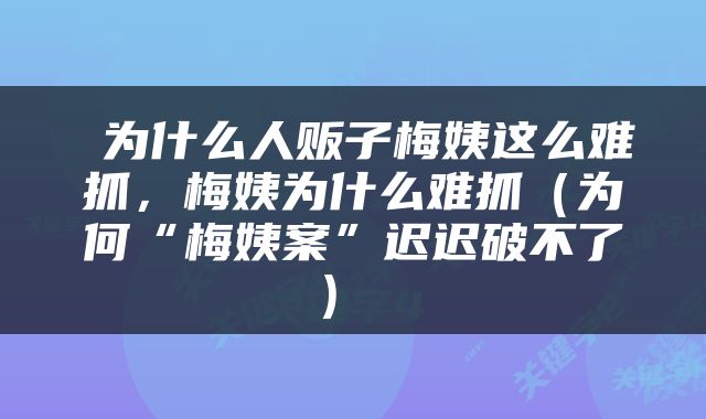  为什么人贩子梅姨这么难抓，梅姨为什么难抓（为何“梅姨案”迟迟破不了） 