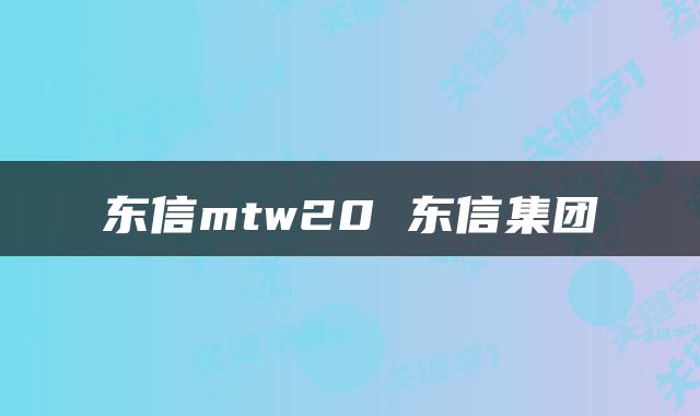 东信mtw20 东信集团