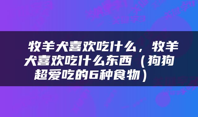  牧羊犬喜欢吃什么，牧羊犬喜欢吃什么东西（狗狗超爱吃的6种食物） 
