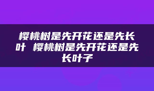 樱桃树是先开花还是先长叶 樱桃树是先开花还是先长叶子