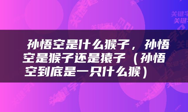  孙悟空是什么猴子，孙悟空是猴子还是猿子（孙悟空到底是一只什么猴） 