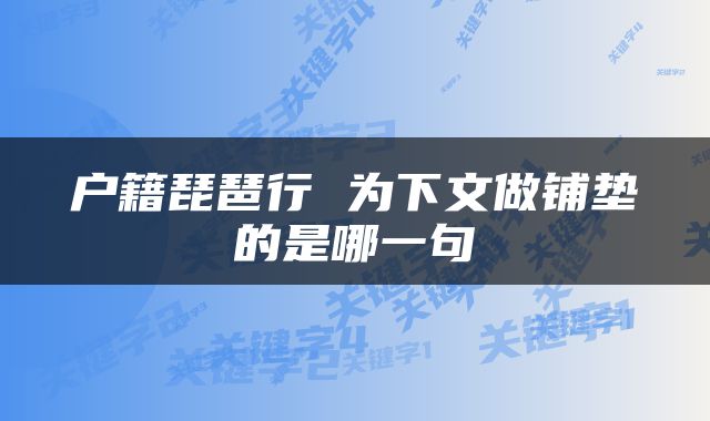 户籍琵琶行 为下文做铺垫的是哪一句