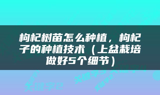 枸杞树苗怎么种植，枸杞子的种植技术（上盆栽培做好5个细节）