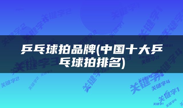 乒乓球拍品牌(中国十大乒乓球拍排名)