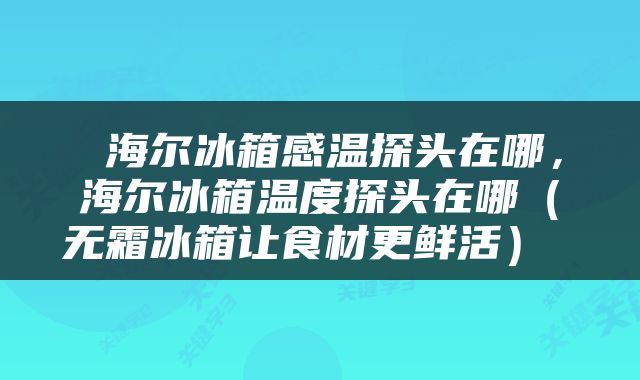  海尔冰箱感温探头在哪，海尔冰箱温度探头在哪（无霜冰箱让食材更鲜活） 