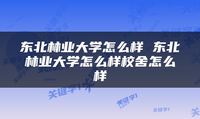 东北林业大学怎么样 东北林业大学怎么样校舍怎么样