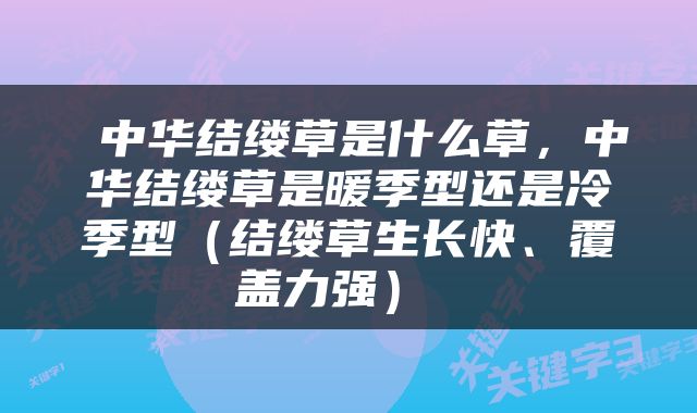  中华结缕草是什么草，中华结缕草是暖季型还是冷季型（结缕草生长快、覆盖力强） 