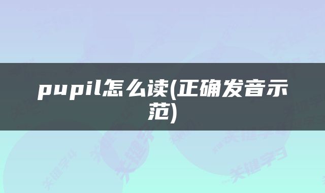 pupil怎么读(正确发音示范)