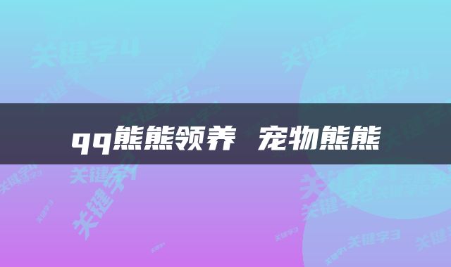 qq熊熊领养 宠物熊熊