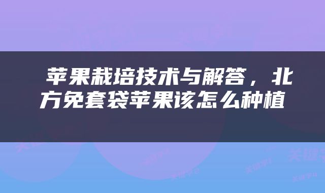  苹果栽培技术与解答，北方免套袋苹果该怎么种植 