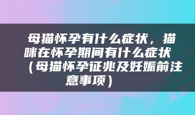  母猫怀孕有什么症状，猫咪在怀孕期间有什么症状（母猫怀孕征兆及妊娠前注意事项） 