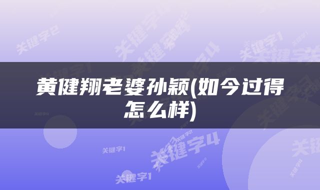 黄健翔老婆孙颖(如今过得怎么样)
