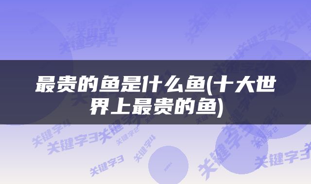 最贵的鱼是什么鱼(十大世界上最贵的鱼)