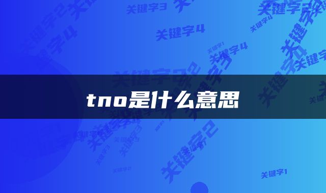  tno是什么意思 