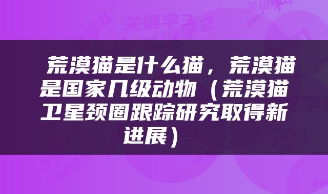 荒漠猫是什么猫，荒漠猫是国家几级动物（荒漠猫卫星颈圈跟踪研究取得新进展） 