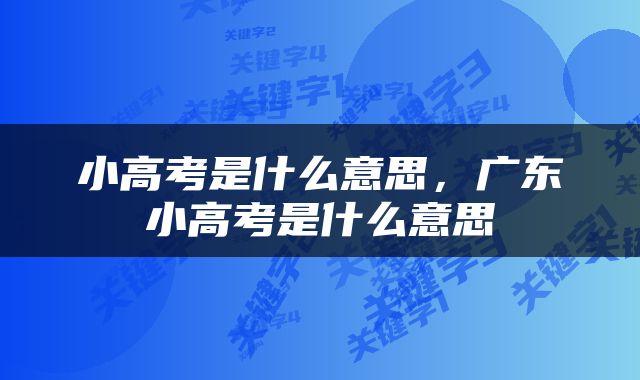 小高考是什么意思，广东小高考是什么意思