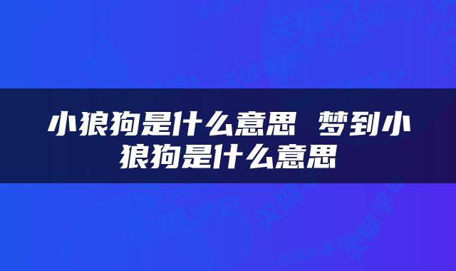 小狼狗是什么意思 梦到小狼狗是什么意思