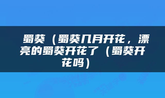  蜀葵（蜀葵几月开花，漂亮的蜀葵开花了（蜀葵开花吗） 