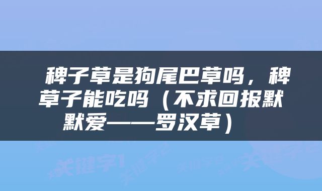  稗子草是狗尾巴草吗，稗草子能吃吗（不求回报默默爱——罗汉草） 