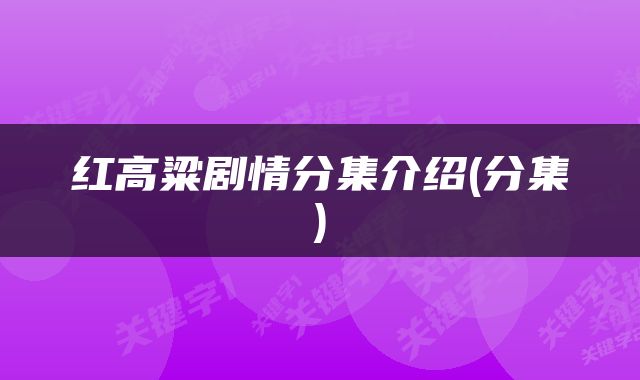 红高粱剧情分集介绍(分集)