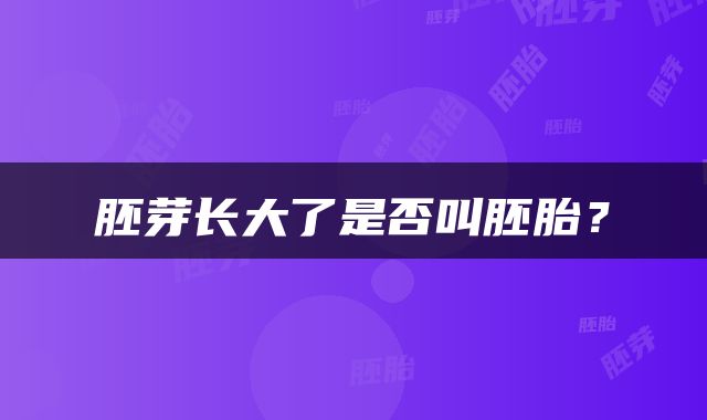 胚芽长大了是否叫胚胎？