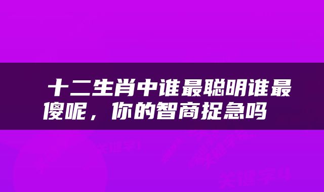  十二生肖中谁最聪明谁最傻呢，你的智商捉急吗 