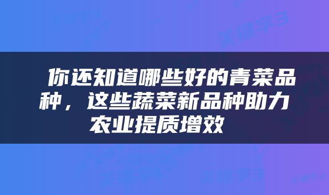  你还知道哪些好的青菜品种，这些蔬菜新品种助力农业提质增效 