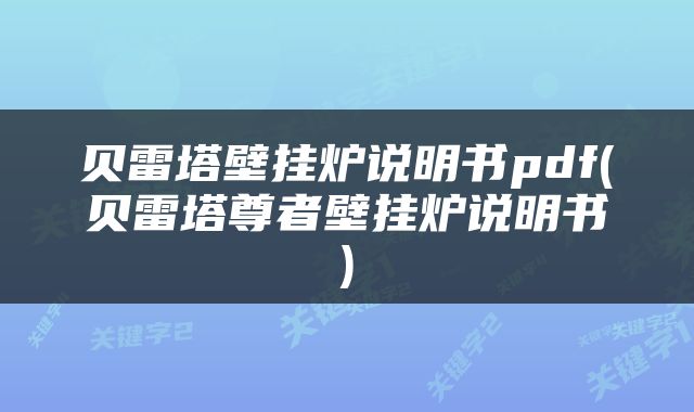 贝雷塔壁挂炉说明书pdf(贝雷塔尊者壁挂炉说明书)