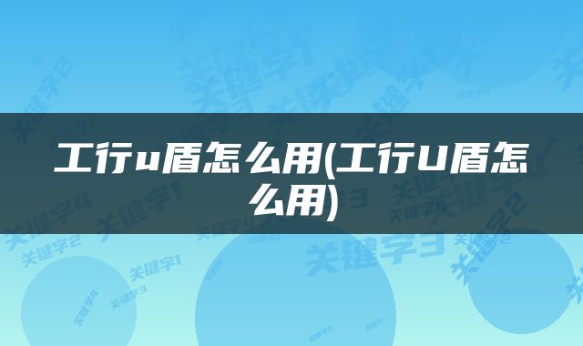 工行u盾怎么用(工行U盾怎么用)