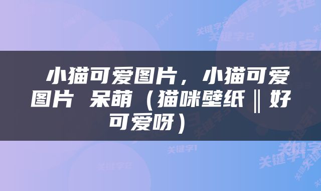  小猫可爱图片，小猫可爱图片 呆萌（猫咪壁纸‖好可爱呀） 