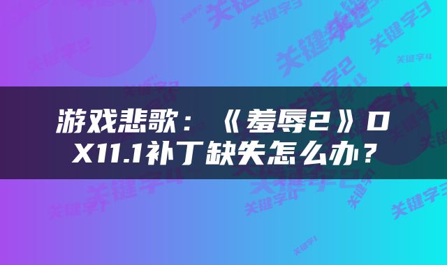 游戏悲歌：《羞辱2》DX11.1补丁缺失怎么办？