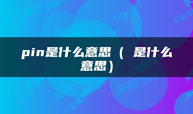 pin是什么意思（朩是什么意思）