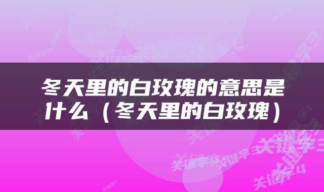 冬天里的白玫瑰的意思是什么（冬天里的白玫瑰）