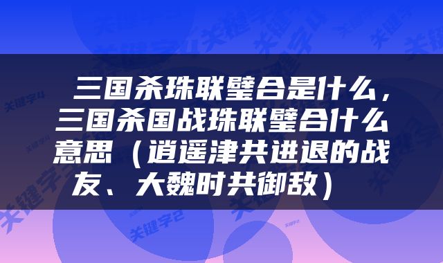  三国杀珠联璧合是什么，三国杀国战珠联璧合什么意思（逍遥津共进退的战友、大魏时共御敌） 