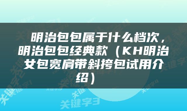  明治包包属于什么档次，明治包包经典款（KH明治女包宽肩带斜挎包试用介绍） 