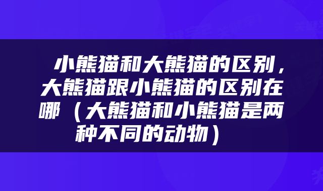  小熊猫和大熊猫的区别，大熊猫跟小熊猫的区别在哪（大熊猫和小熊猫是两种不同的动物） 