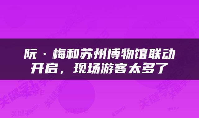 阮·梅和苏州博物馆联动开启，现场游客太多了