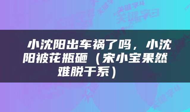  小沈阳出车祸了吗，小沈阳被花瓶砸（宋小宝果然难脱干系） 
