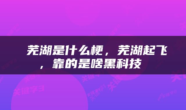  芜湖是什么梗，芜湖起飞，靠的是啥黑科技 