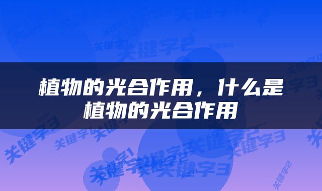 植物的光合作用，什么是植物的光合作用