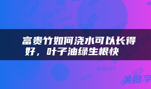  富贵竹如何浇水可以长得好，叶子油绿生根快 