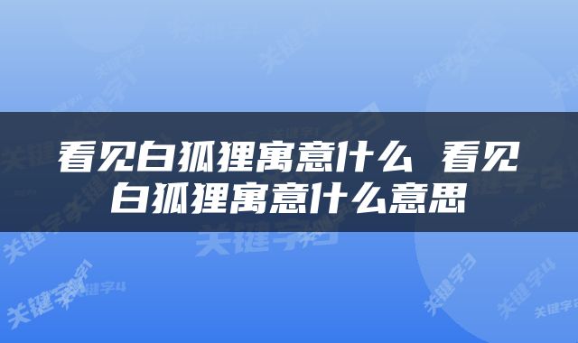看见白狐狸寓意什么 看见白狐狸寓意什么意思