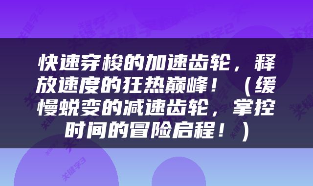 快速穿梭的加速齿轮，释放速度的狂热巅峰！（缓慢蜕变的减速齿轮，掌控时间的冒险启程！）