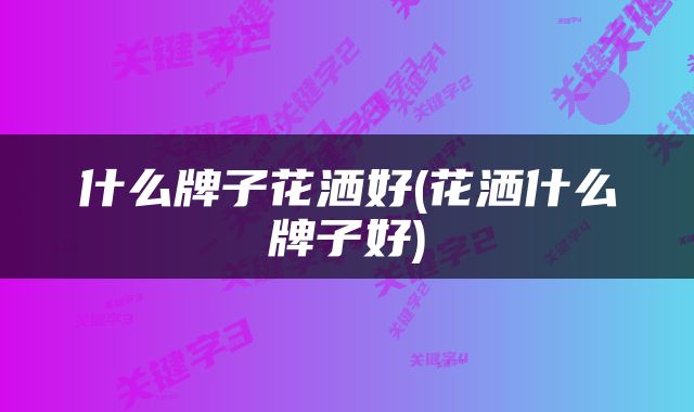 什么牌子花洒好(花洒什么牌子好)