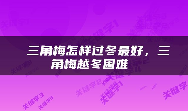  三角梅怎样过冬最好，三角梅越冬困难 