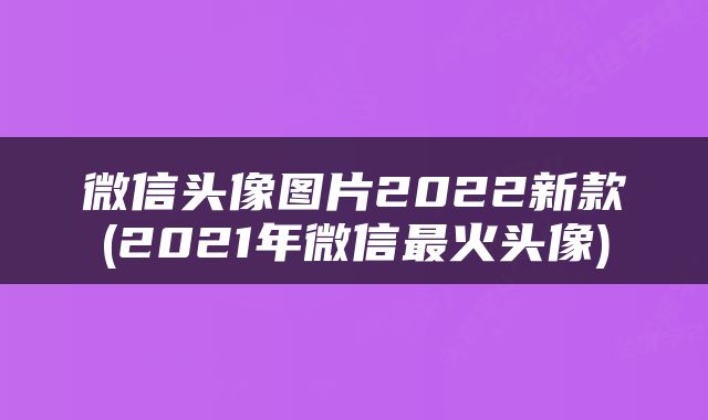 微信头像图片2022新款(2021年微信最火头像)