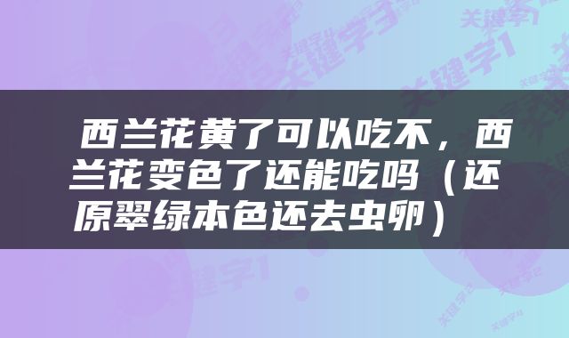  西兰花黄了可以吃不，西兰花变色了还能吃吗（还原翠绿本色还去虫卵） 