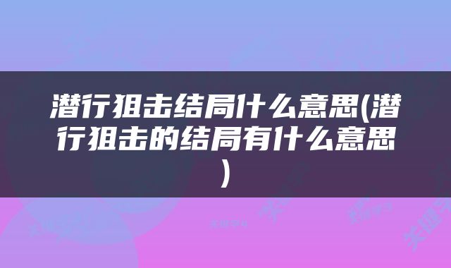 潜行狙击结局什么意思(潜行狙击的结局有什么意思)