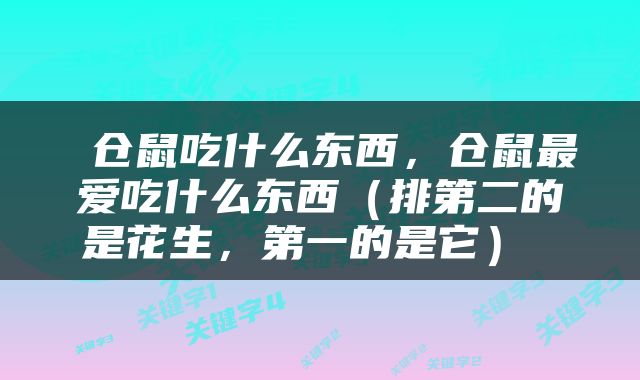  仓鼠吃什么东西，仓鼠最爱吃什么东西（排第二的是花生，第一的是它） 